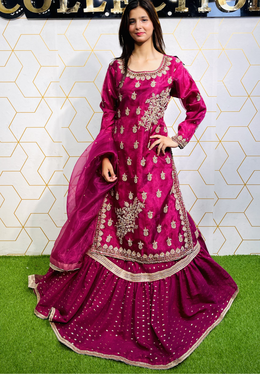 Amna Collection HS016 – Organza Party Wear Formal with Crystal & Raisham Work
