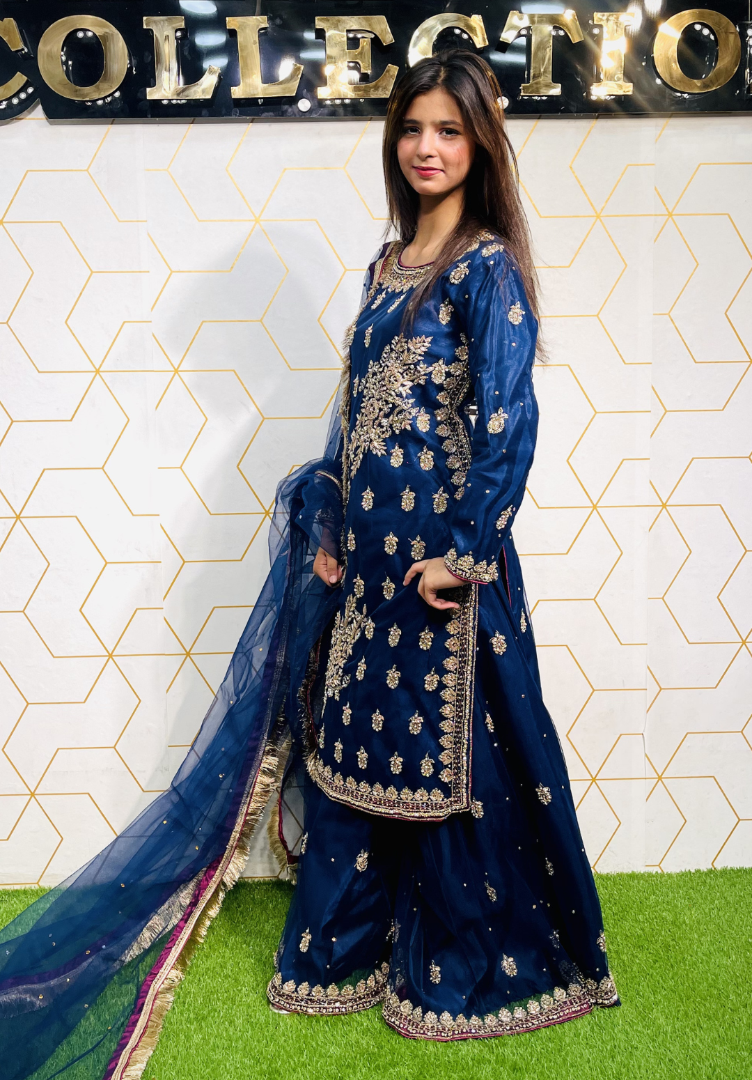 Amna Collection HS016 – Organza Party Wear Formal with Crystal & Raisham Work