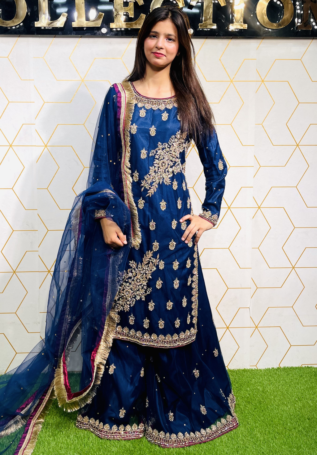 Amna Collection HS016 – Organza Party Wear Formal with Crystal & Raisham Work