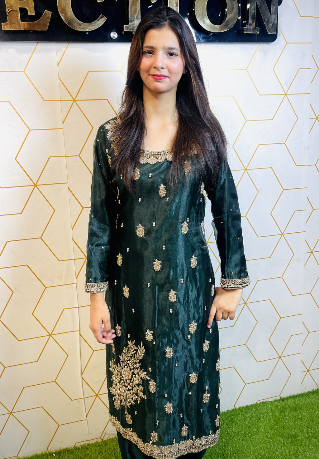 Amna Collection HS016 – Organza Party Wear Formal with Crystal & Raisham Work