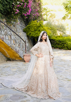 Amna Collection PQ050 – Heavy Walima Tail Maxi with Crystal, Kora Dab & Veil Dupatta