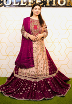 Amna Collection DA007 – Embroidered Bridal Formal with Crystal & Kora Dab Work