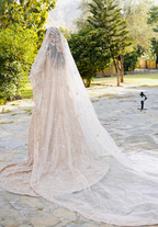 Amna Collection PQ050 – Heavy Walima Tail Maxi with Crystal, Kora Dab & Veil Dupatta