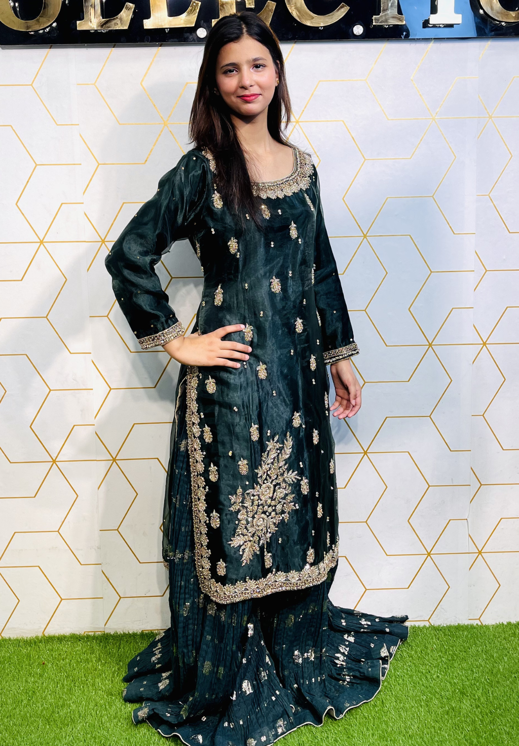 Amna Collection HS016 – Organza Party Wear Formal with Crystal & Raisham Work