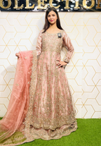 Amna Collection DE052 – Organza Bridal Walima with Crystal & Raisham Work