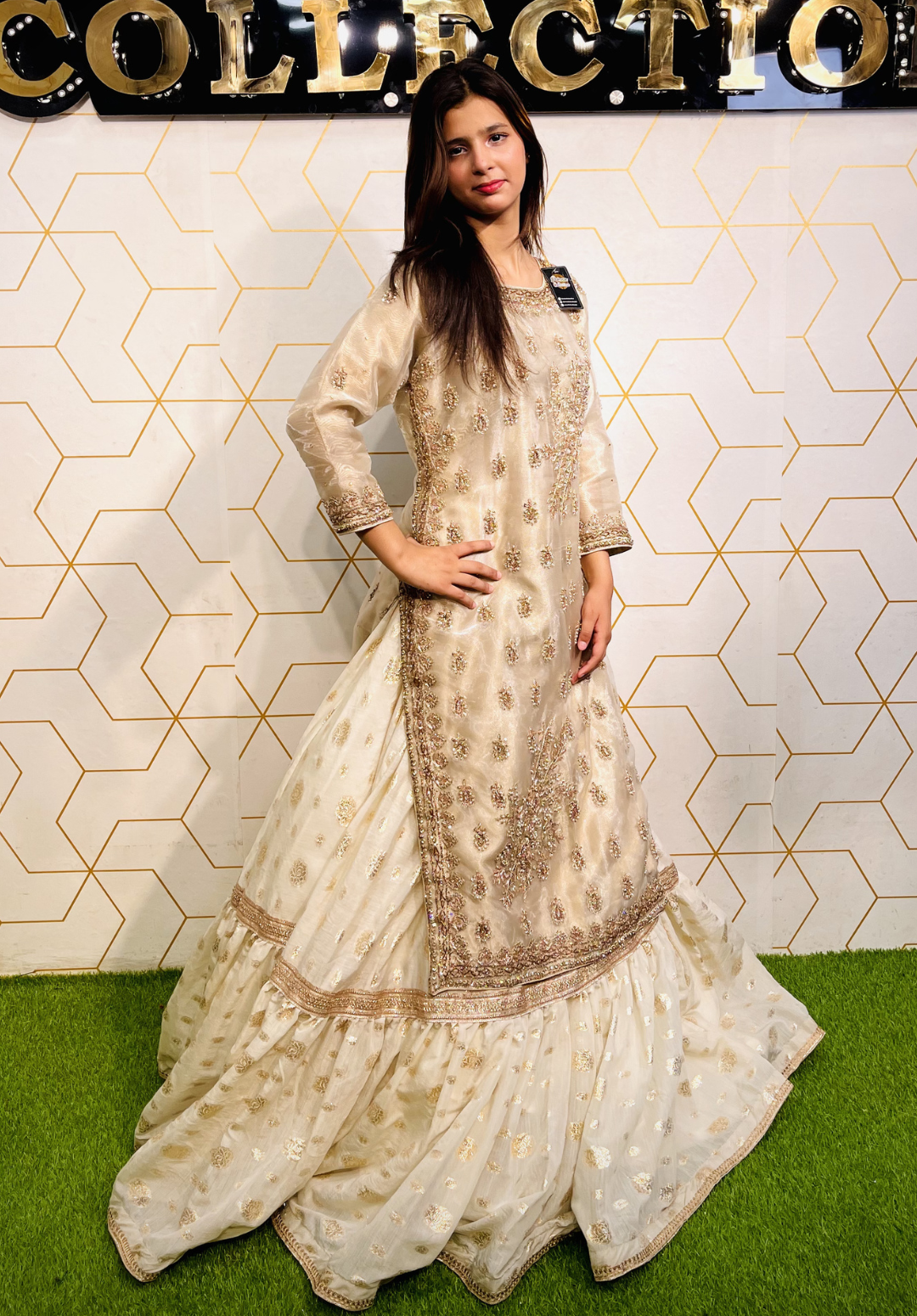 Amna Collection HS016 – Organza Party Wear Formal with Crystal & Raisham Work
