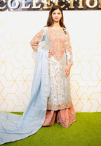 Amna Collection DA007 – Embroidered Bridal Formal with Crystal & Kora Dab Work