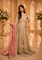 Amna Collection DE052 – Organza Bridal Walima with Crystal & Raisham Work